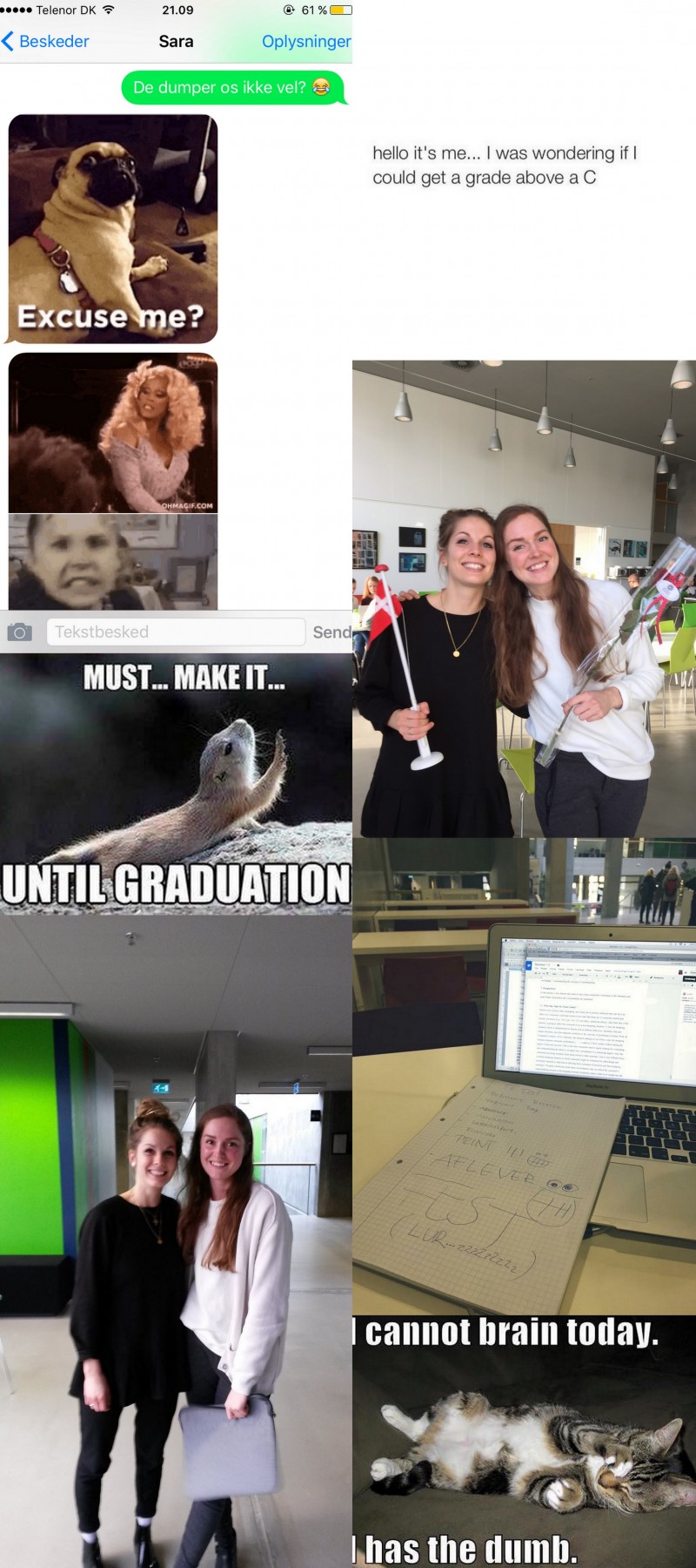 Færdiguddannet bachelor i Nutrition and Health2